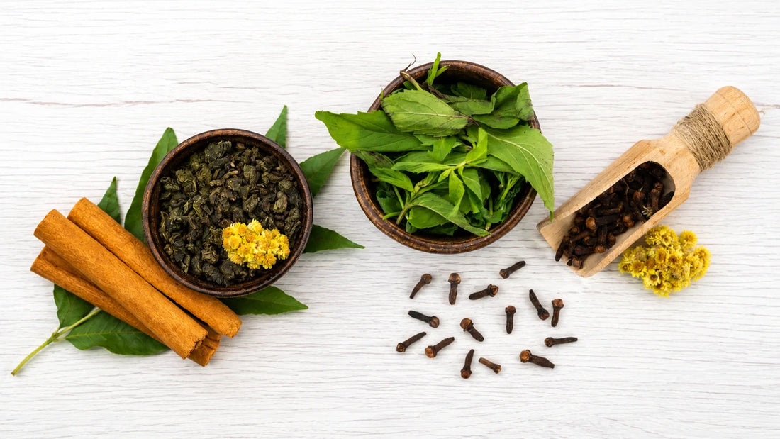 Can You Take Ayurvedic Supplements Alongside Your Regular Medicines?