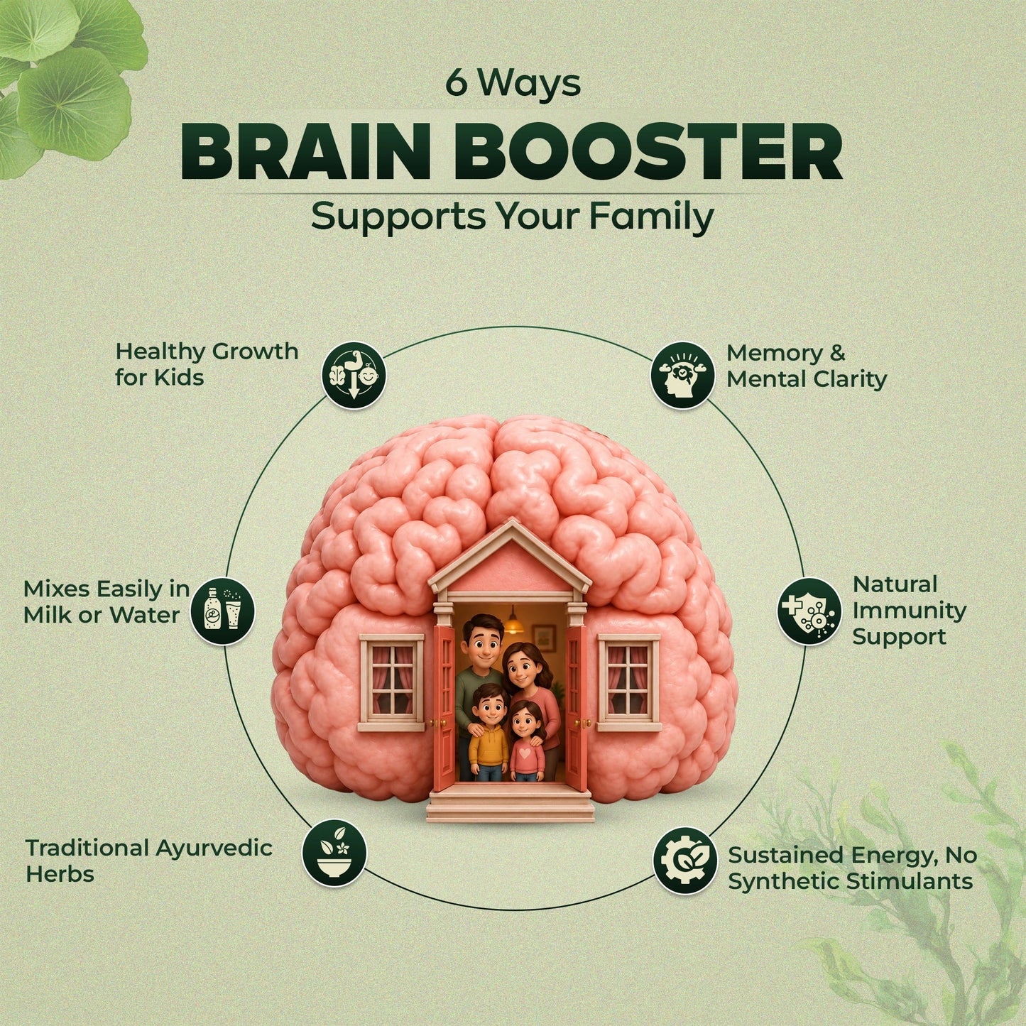 Brain Booster (A Nutrition Drink)