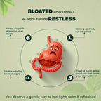 Doctor Detox (Ayurvedic Nightly Detox Tea for Gut & Sleep)
