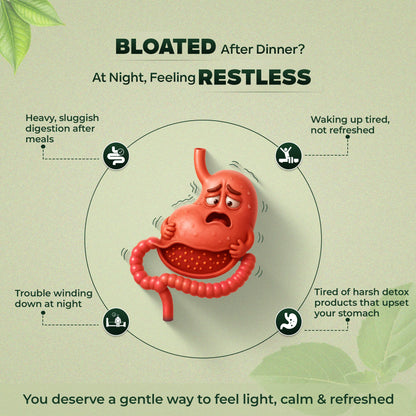 Doctor Detox (Ayurvedic Nightly Detox Tea for Gut & Sleep)