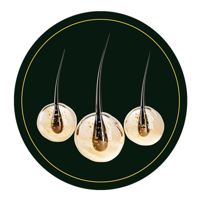 Omega 7 hair Health