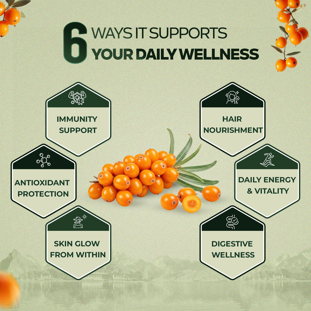 Sea Buckthorn Juice